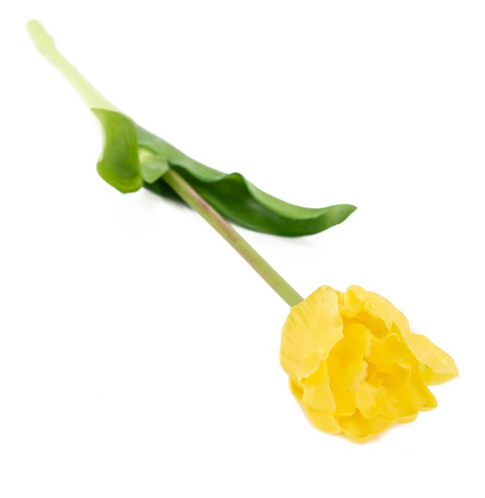 Kunst tulp open real touch geel