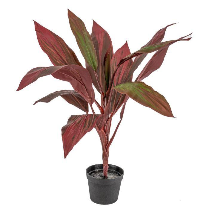 Kunstplant rode cycas 70cm