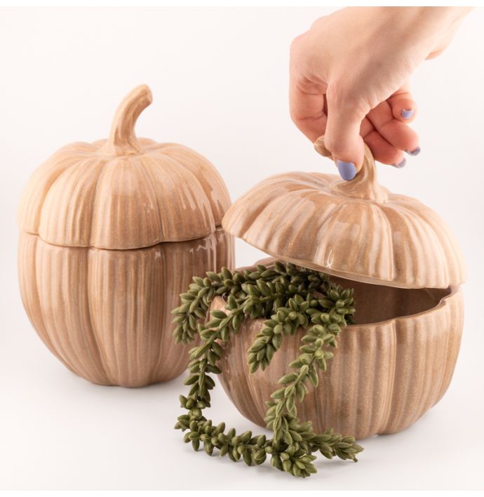 Opbergbakje pompoen Gourd beige L