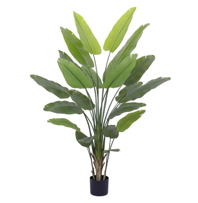 Kunstplant Strelitzia 230cm