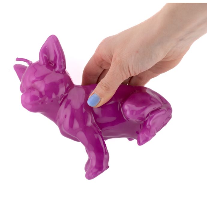 Kaars chihuahua paars