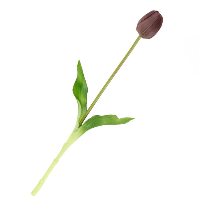 Kunst tulp real touch aubergine