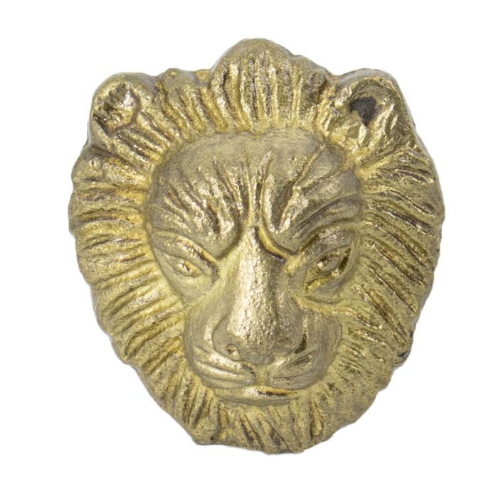 Knopje leeuw goud