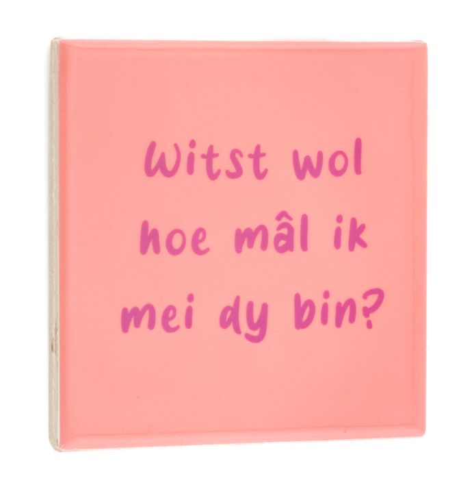 Tegeltje Fries “Wits wol hoe mâl”