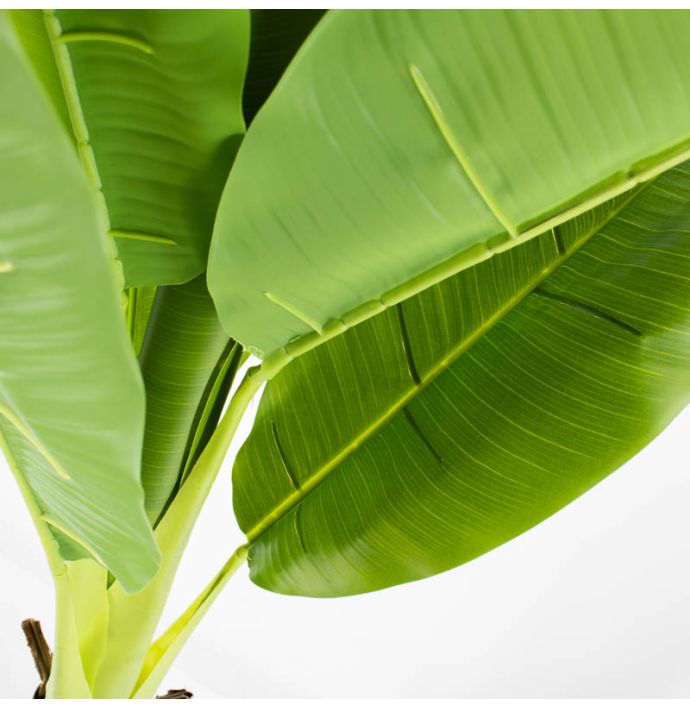 Kunstplant bananenboom 180cm