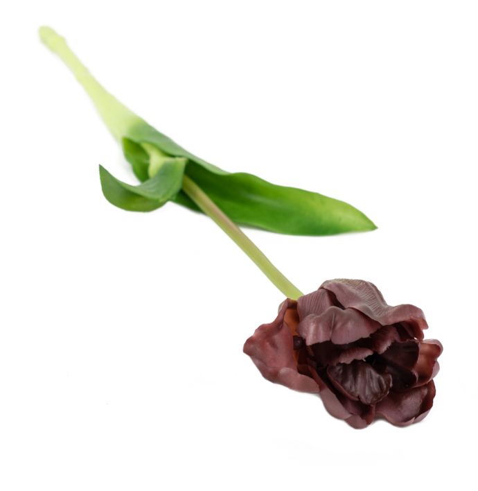 Kunst tulp open real touch aubergine