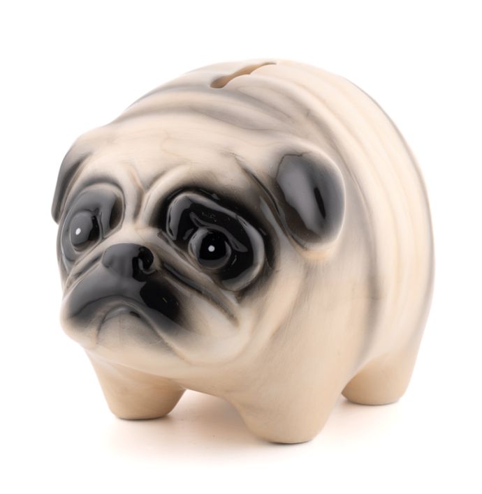 Spaarpot pug