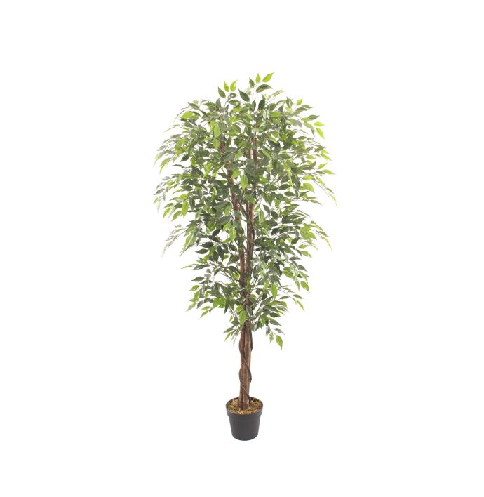Kunstboom Fica ficus 10cm
