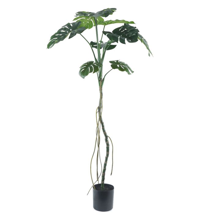 Kunstplant Monstera op stam 180cm