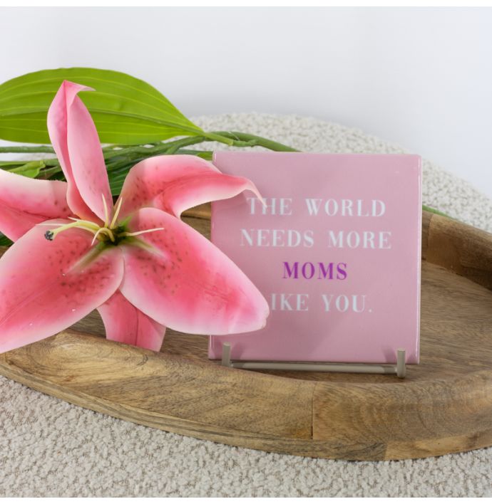 Tegeltje the world needs more moms like you