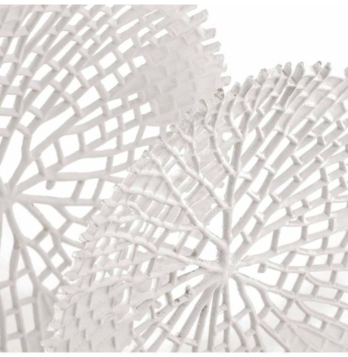 Ornament coral wit