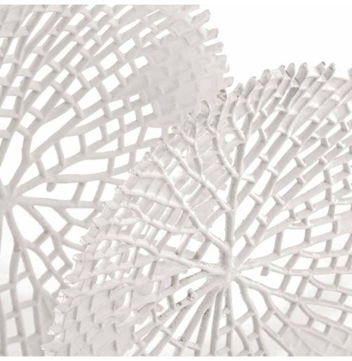 Ornament coral wit