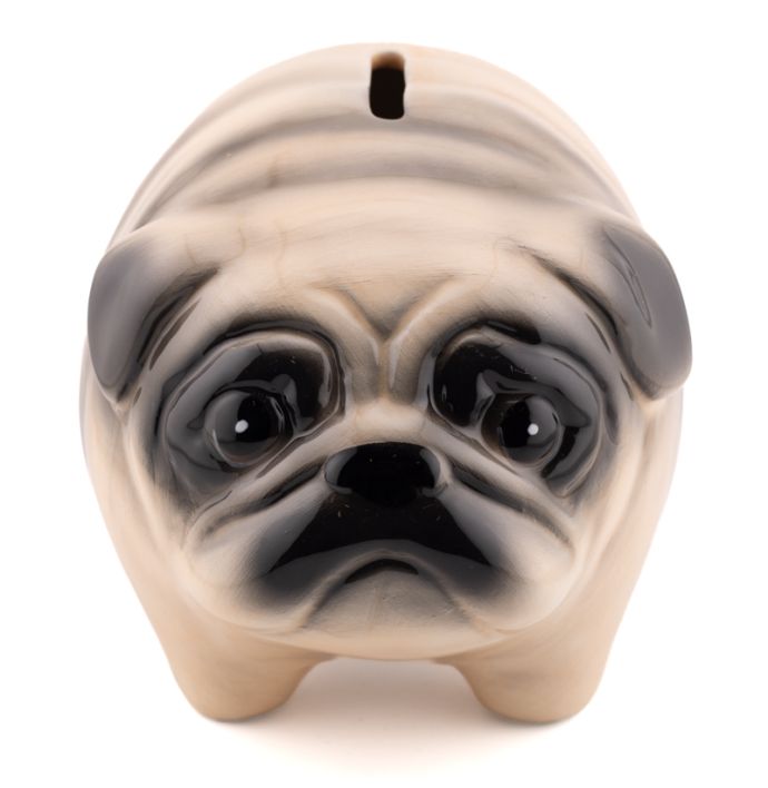 Spaarpot pug