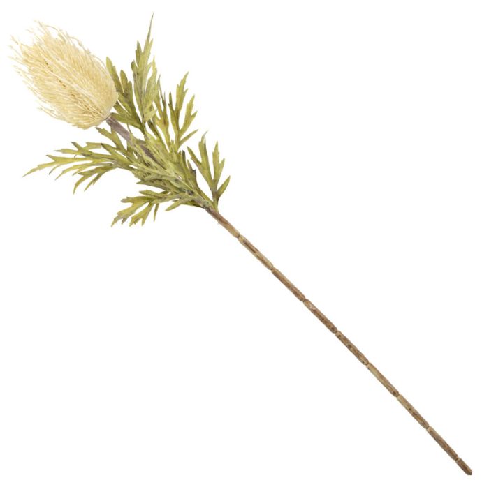 Kunstbloem banksia 69cm creme