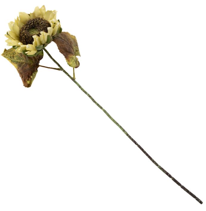 Kunstbloem gedroogde zonnebloem 55cm creme