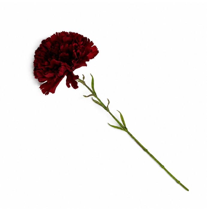 Kunstbloem anjer enkel 55cm burgundy