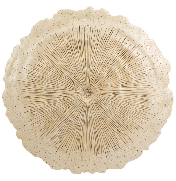 Wanddecoratie Arko M