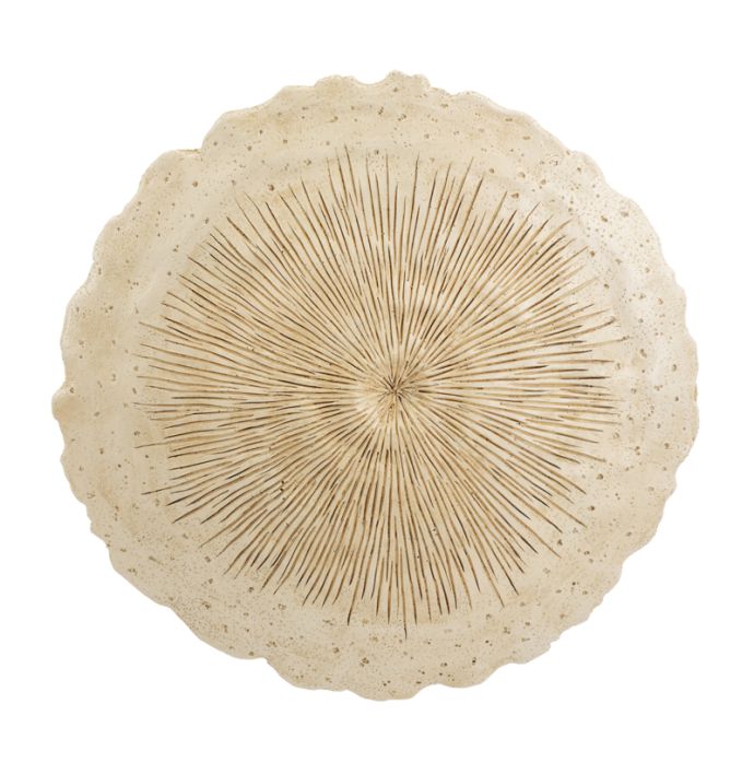 Wanddecoratie Arko S