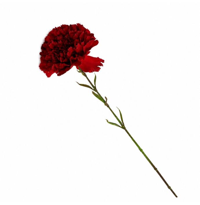 Kunstbloem anjer enkel 55cm rood