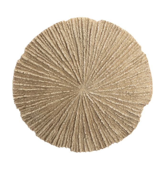 Wanddecoratie Borea S