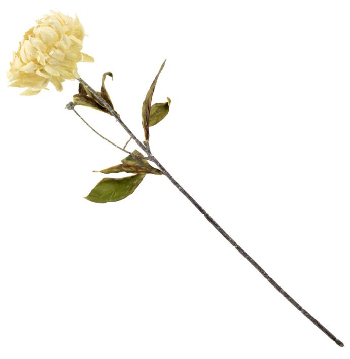 Kunstbloem gedroogde pioen 65cm creme