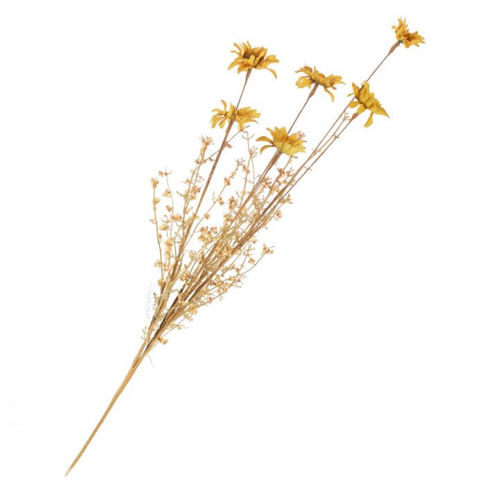 Perennial geel