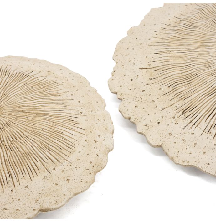 Wanddecoratie Arko S