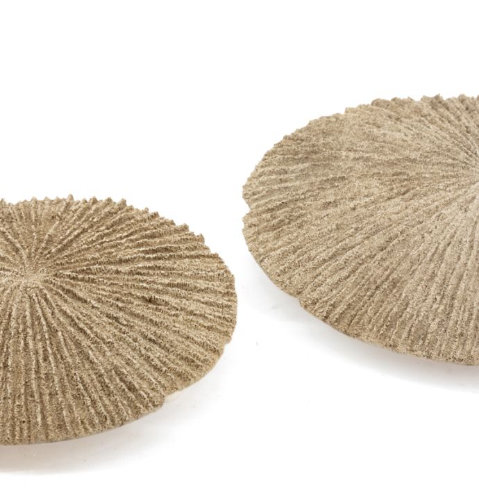 Wanddecoratie Borea S