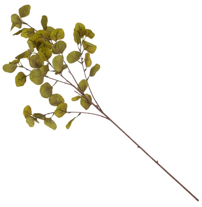 Kunsttak eucalyptus