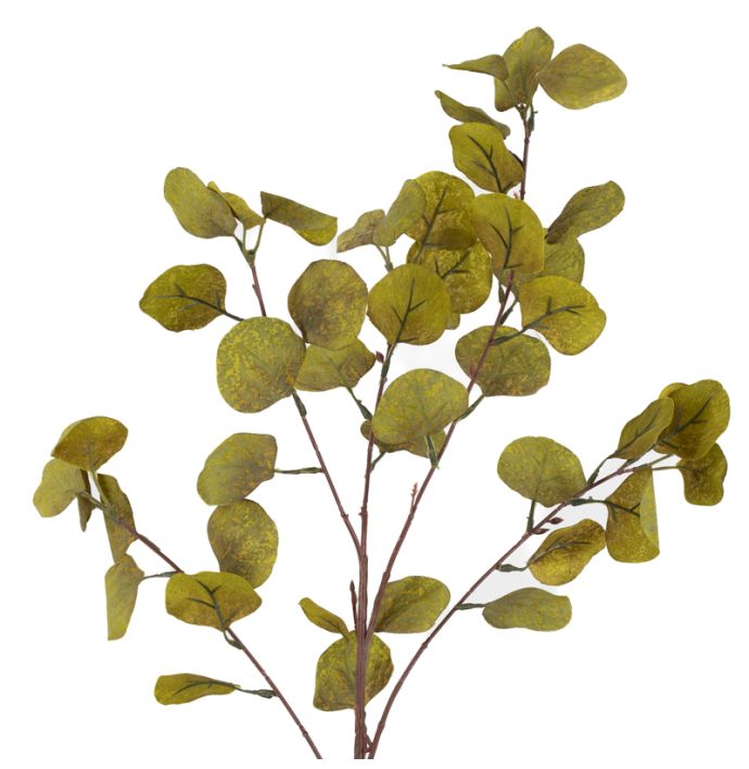 Kunsttak eucalyptus