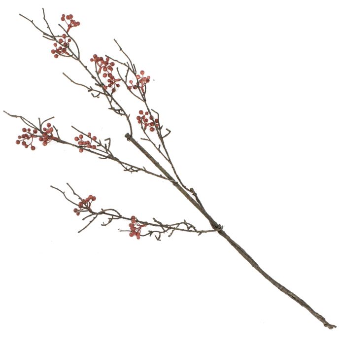 Kunsttak berry