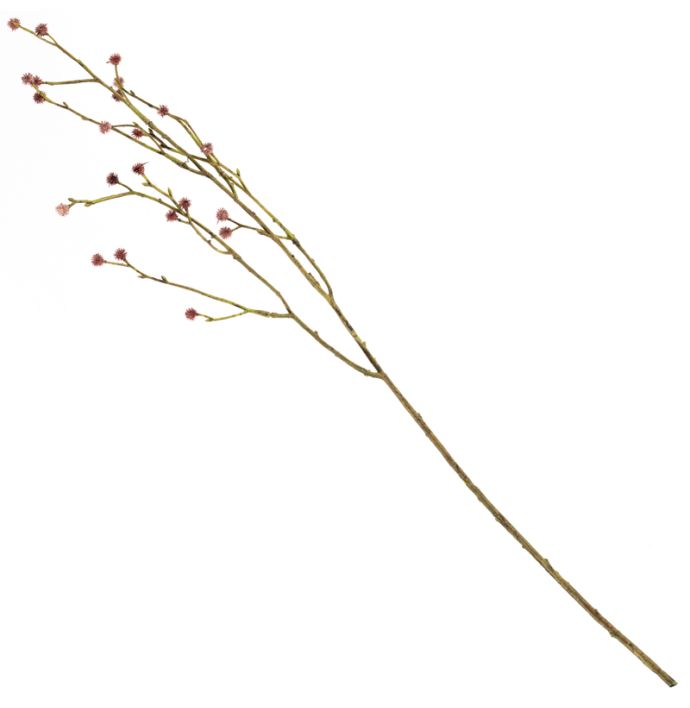 Kunsttak met knoppen 75cm