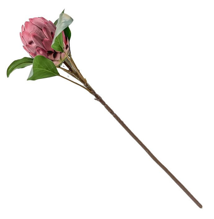 Kunstbloem Protea royal 66cm