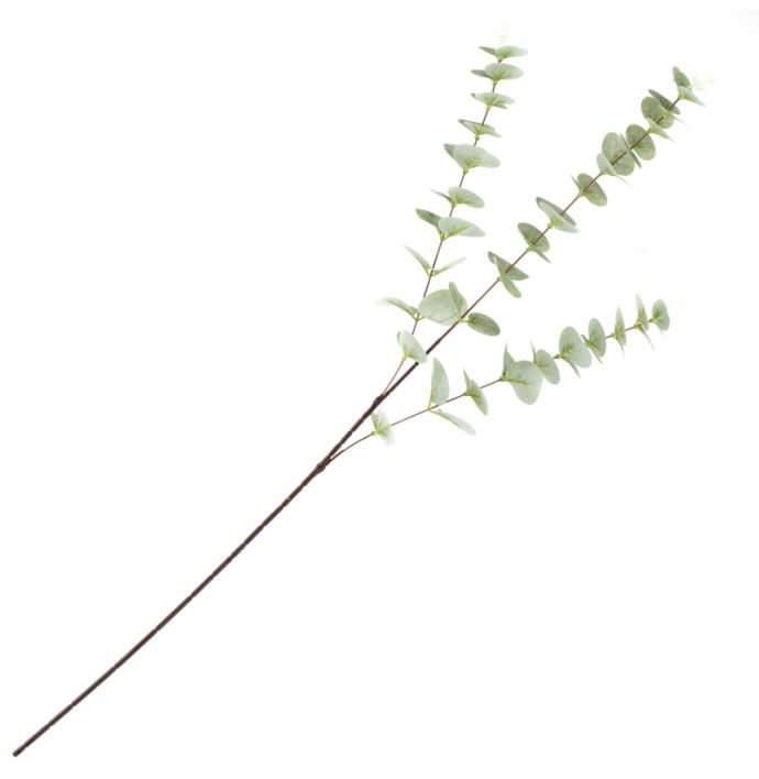 Kunstbloem Eucalyptus 82 cm