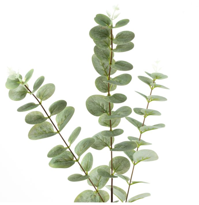 Kunstbloem Eucalyptus 82 cm