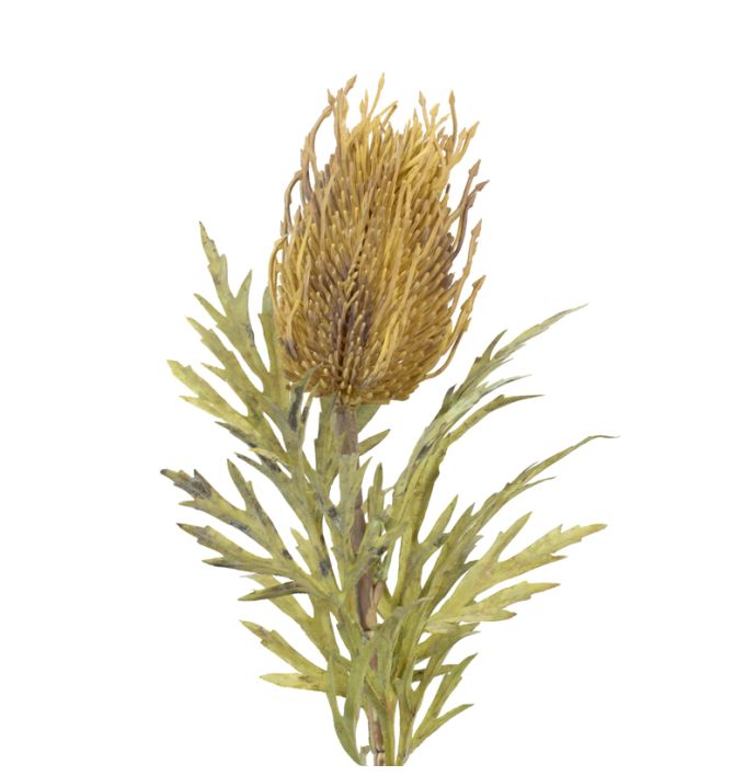 Kunstbloem banksia 69cm grijs