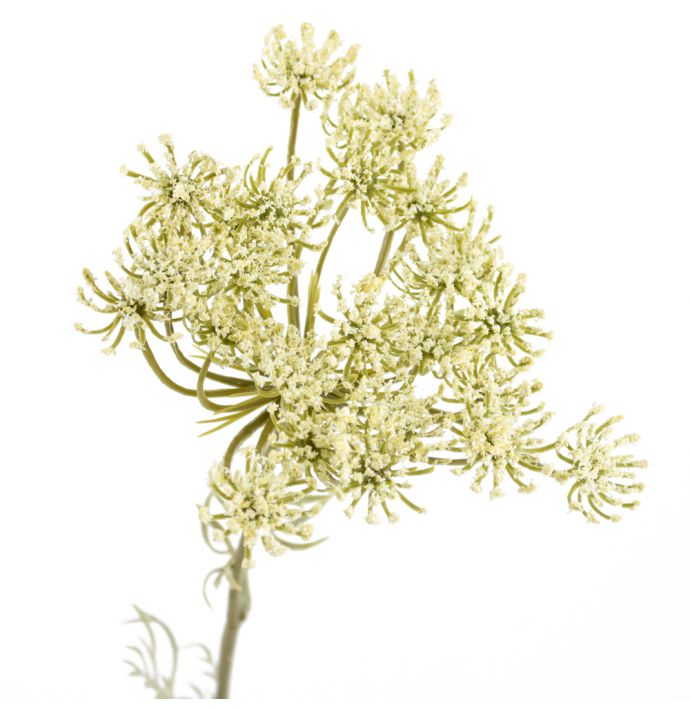 Kunstbloem didiscus cream