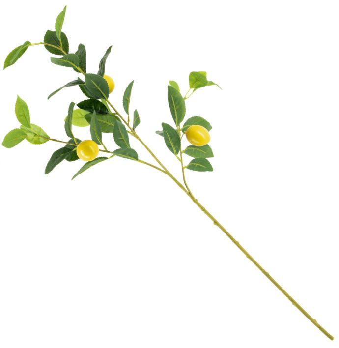 Kunsttak citroen real touch 81cm