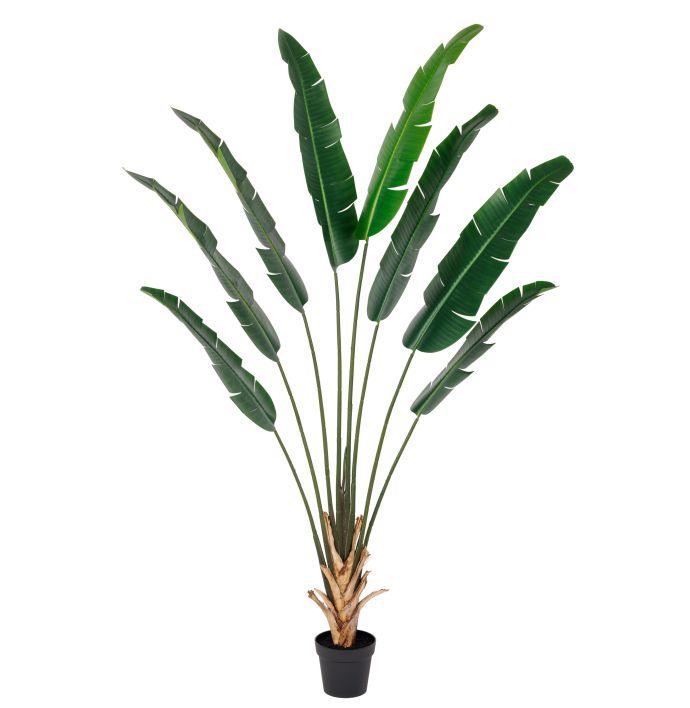 Kunstplant Strelitzia real touch 215cm