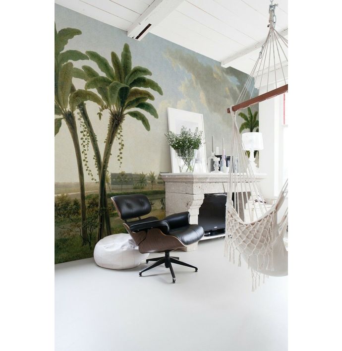 Fotobehang Koffieplantage