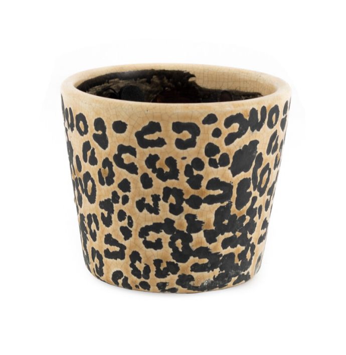 Aardewerk bloempot 12cm panter
