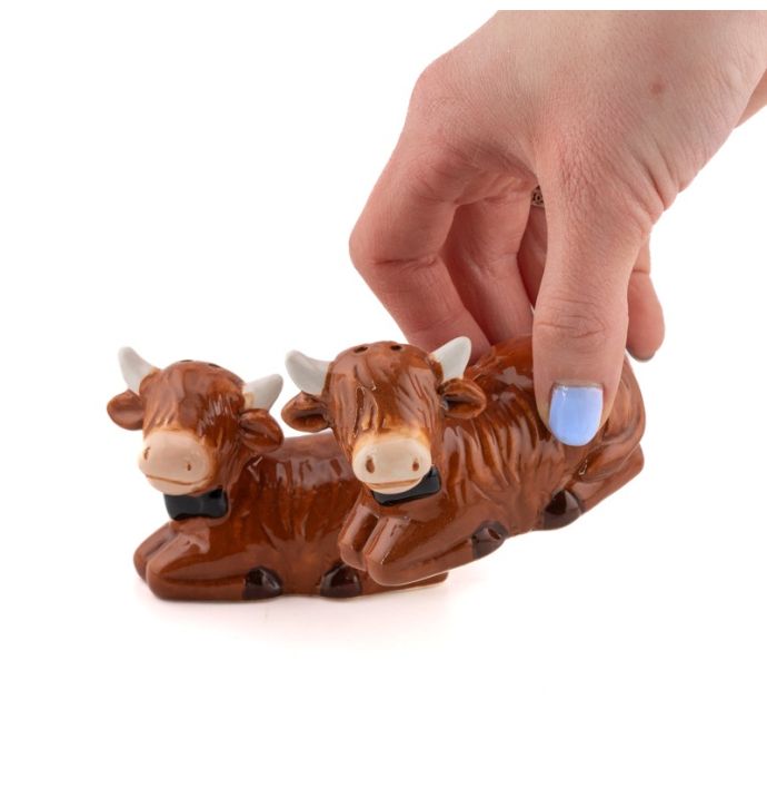 Peper en zoutstel highland cow