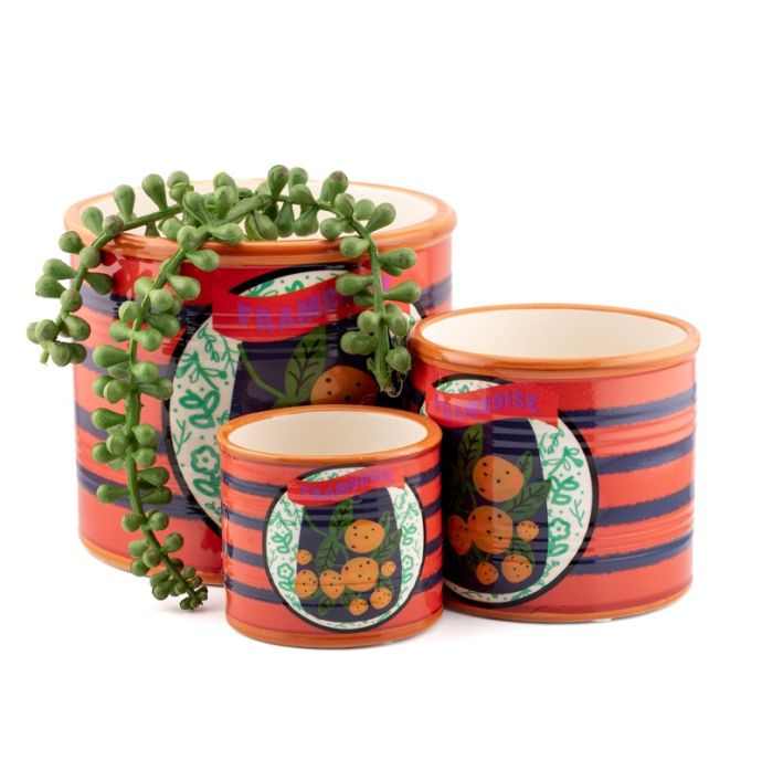 Aardewerk bakje framboos