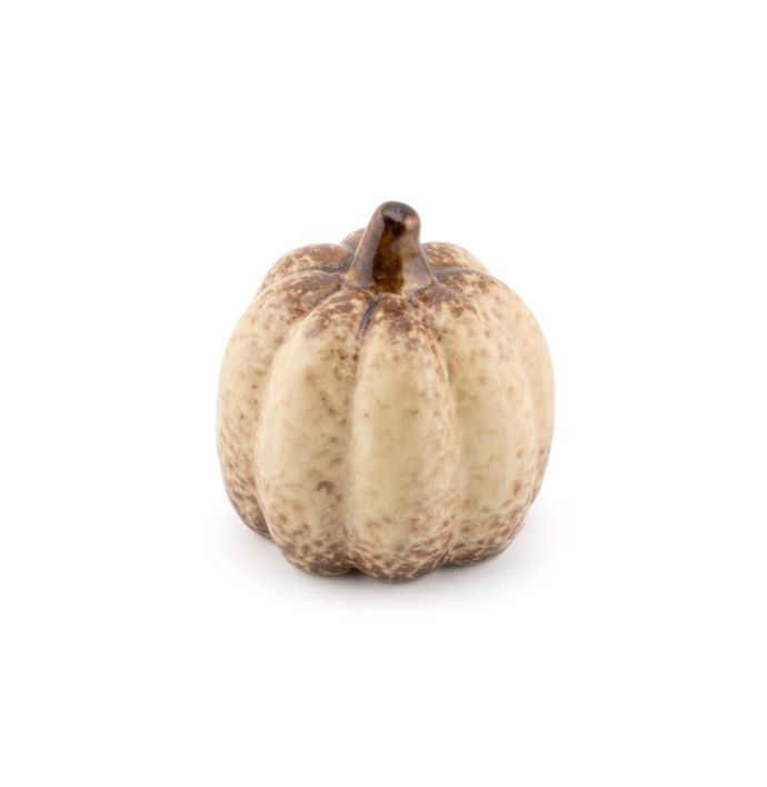 Aardewerk pompoen Elong S