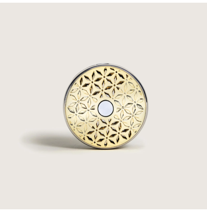 Maison Berger Autoparfum Car diffuser Pomelis