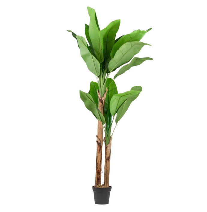 Kunstplant bananenboom 180cm