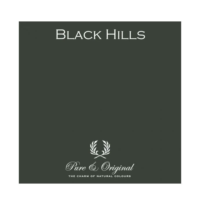 Pure & Original Traditional Paint Eggshell Black Hills