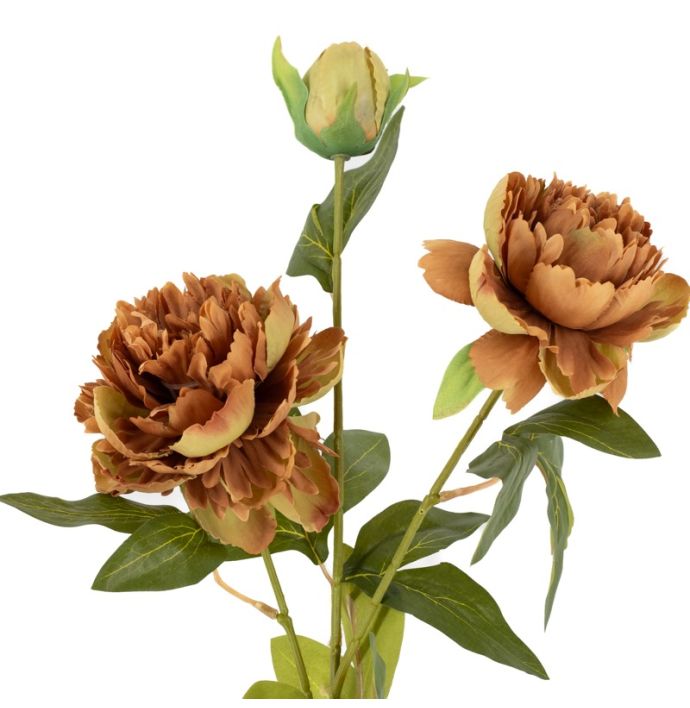 Kunstbloem pioen 74cm bruin