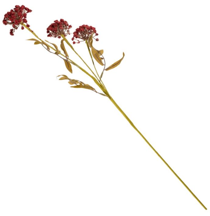 Veldboeket skimmia 80cm rood