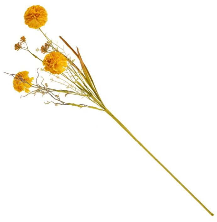 Veldboeket craspedia 74cm oranje